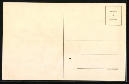 AK Katze und zwei Kater laufen vor Gänsen weg