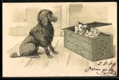 AK Pudel vor einer Kiste mit Katzenbabys