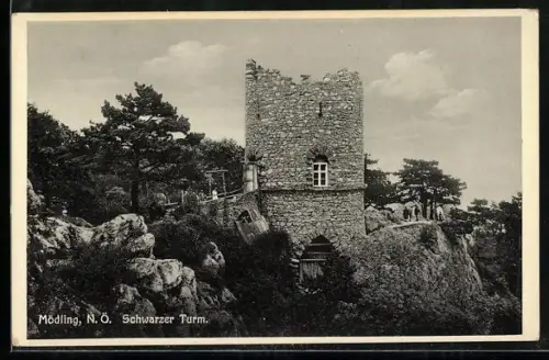 AK Mödling /N. Ö., Schwarzer Turm