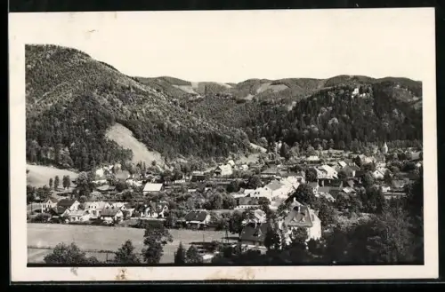 AK Hohenberg, Teilansicht mit Schlossberg