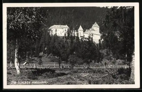 AK Unternberg im Lungau, Blick zum Schloss Moosham