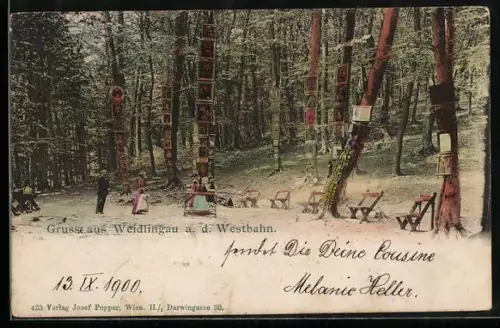 AK Weidlingau a. d. Westbahn, Waldpartie