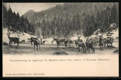 AK Mürzsteg, Hirschfütterung im Jagdrevier Sr. Majestät Kaiser Franz Josef I