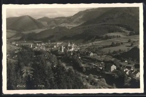 AK Waidhofen a. Ybbs, Panorama mit Kirchen und Bergen