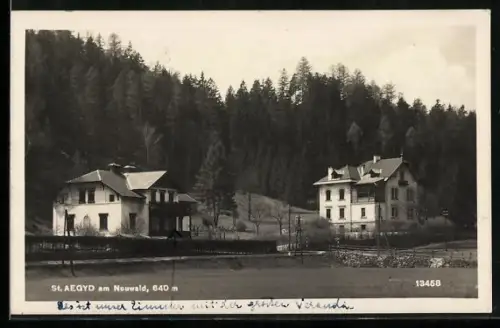 AK St. Aegyd am Neuwald, Häuser am Waldrand