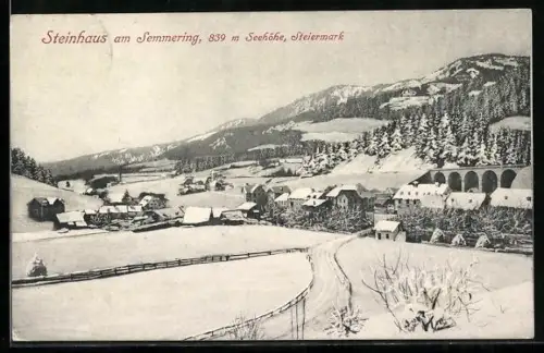 AK Steinhaus am Semmering, Winteransicht des Ortes