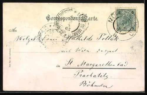 AK Mürzzuschlag, Wasserheilanstalt gegen den Berg