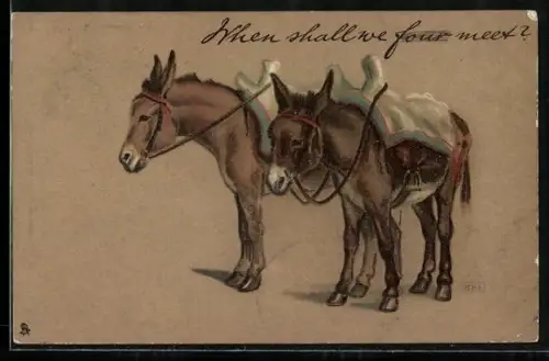 AK Zwei gesattelte Esel stehen nebeneinander