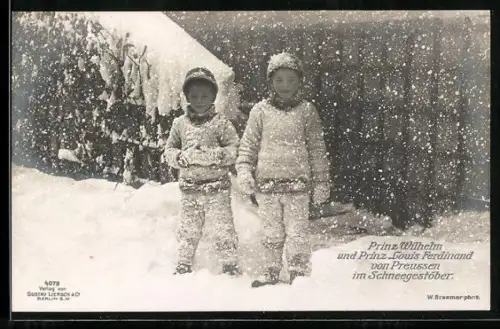 AK Prinz Wilhelm & Prinz Louis Ferdinand im Schneegestöber