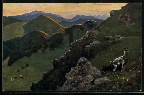 Künstler-AK H. Hoffmann: Bad Belchen, Bergansichten mit Bergziegen