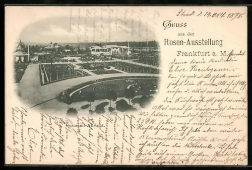 AK Frankfurt a. M., Rosen-Ausstellung 1900, Gesamtansicht