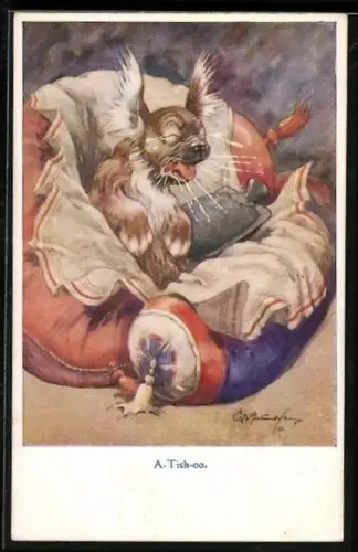 Künstler-AK George Ernest Studdy: A-Tish-oo, Kranker Hund niest