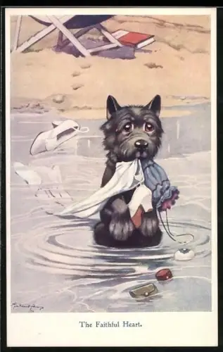 Künstler-AK George Ernest Studdy: Kleiner Terrier sammelt die Wäsche seiner Herrin auf