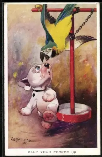Künstler-AK George Ernest Studdy: Bonzo und der Papagei