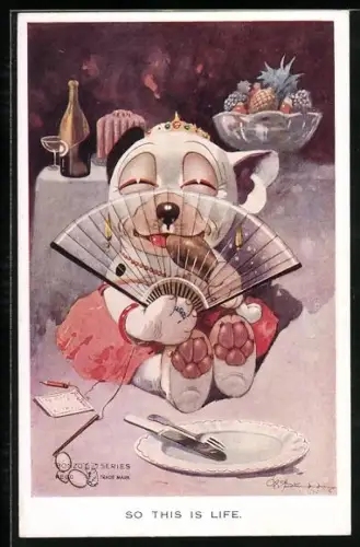 Künstler-AK George Ernest Studdy: So this is Life, Bonzo in Frauenkleidern