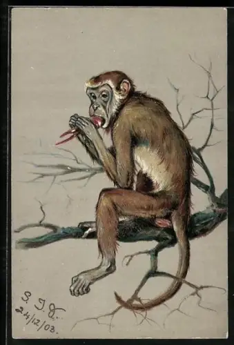 Lithographie Affe, eine Rübe verspeisend