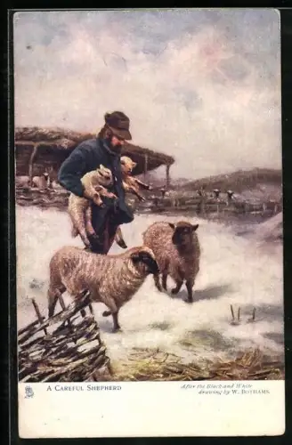 AK Der gute Hirte!, Schäfer mit seiner Herde