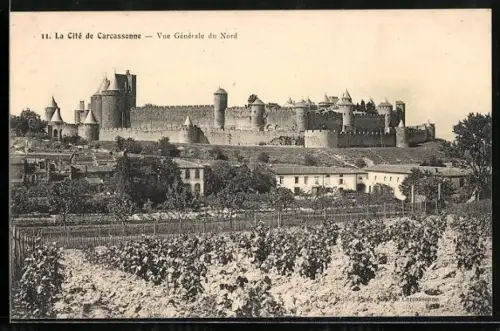 AK Carcassonne, vue générale du Nord, jardins en avant-plan