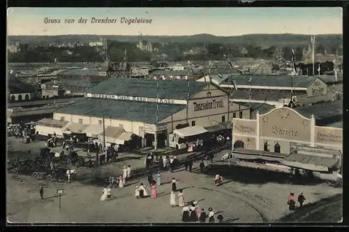 AK Dresden, Dresdener Vogelwiese, Tanzsalon Tivoli und Varieté aus der Vogelschau