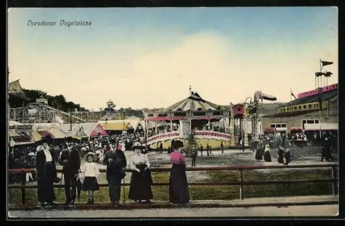 AK Blick auf die Dresdener Vogelwiese