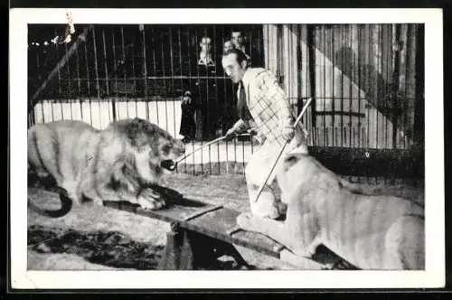 AK Capitän Smola mit seiner Löwengruppe bei einer Zirkus-Vorführung