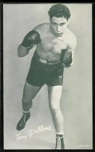 AK Boxer Tony Pellone
