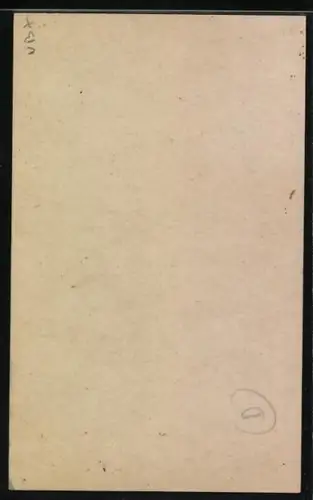 AK Boxer Tony Pellone