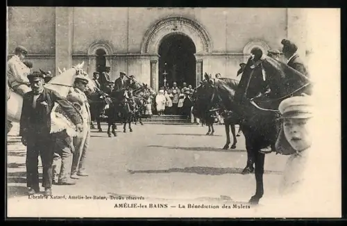 AK Amélie-les-Bains, La Bénédiction des Mulets
