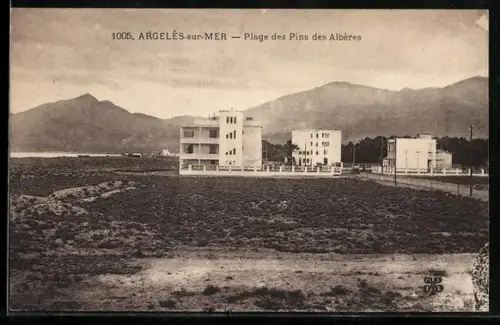 AK Argelès-sur-Mer, Plage des Pins des Albères et vue sur les montagnes en arrière-plan