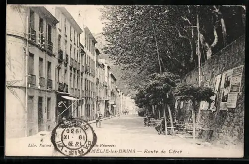 AK Amélie-les-Bains, Route de Céret avec immeubles et arbres alignés