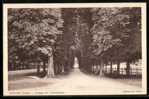 AK Bouges /Indre, Avenue des Marronniers