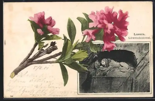 AK Luzern, Löwendenkmal, Blütenzweig, Passepartout
