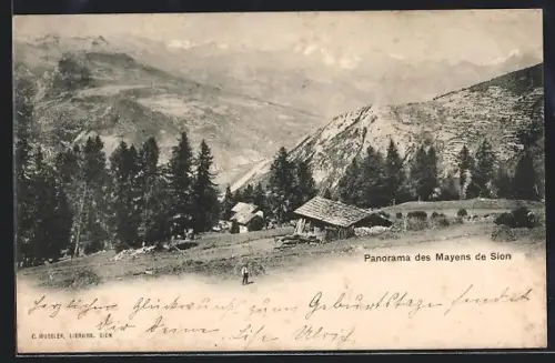 AK Mayens de Sion, Panorama