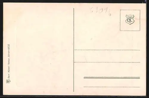 AK Zürich, Teilansicht mit Schloss vom See aus