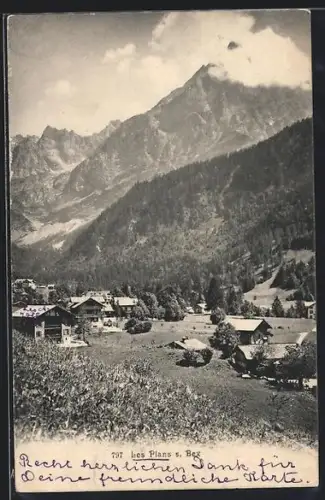 AK Les Plans s. Bex, Ortsansicht aus der Vogelschau