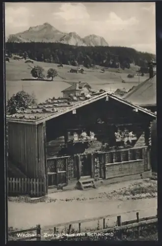 AK Wildhaus, Zwinglihaus mit Schafberg