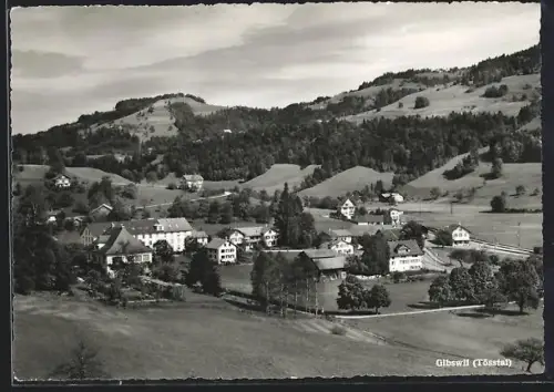AK Gibswil, Ortsansicht aus der Vogelschau
