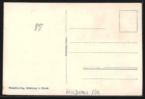 AK Wildhaus /SG, Kurhaus Acker gegen die Churfirsten