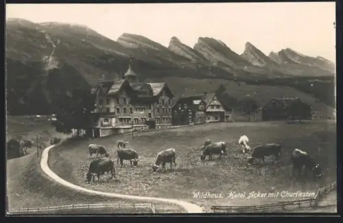 AK Wildhaus, Hotel Acker mit Churfirsten