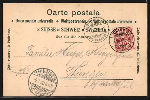 Lithographie Zürich, Limmat Quai, Fraumünsterkirche und Münsterbrücke, Fontäne im Platzspitz-Park, Gemüsebrücke