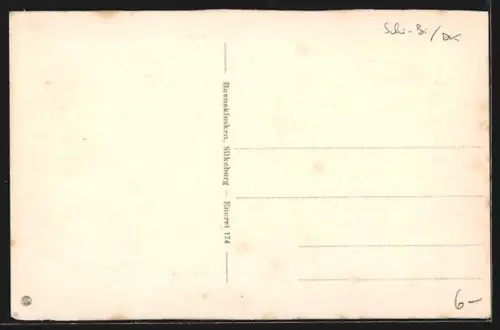 AK Silkeborg, Havnebillede