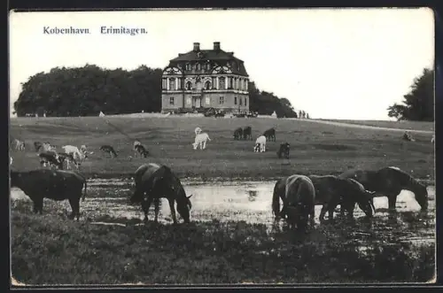AK København, Erimitagen