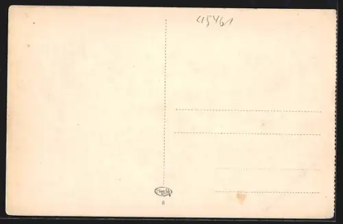 AK Budapest, Rue de Rákóczi, Strassenbahnen