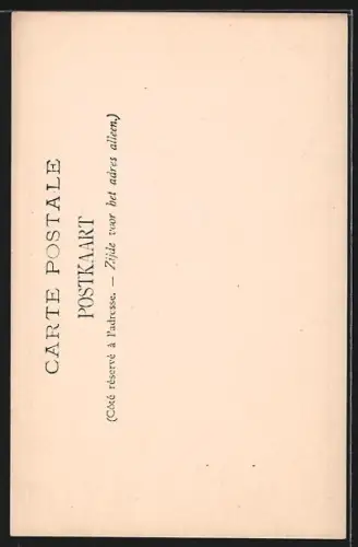 AK Walzin, Le château