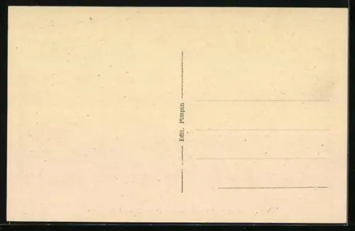 AK Le Blanc /Indre, Rue Pierre-Collin-de-Souvigny avec commerces et passants