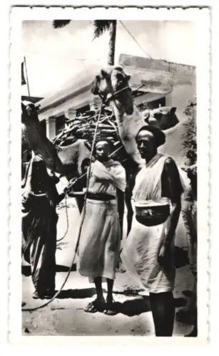 12 Fotografien afrikanische Volkstypen, Gefangene in Ketten, Kolonialtruppen, Rot-Kreuz Sanitäts Kamele