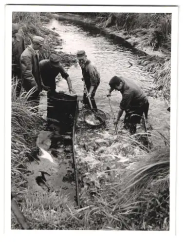 6 Fotografien Erna Quass, Frankfurt / Main, Fischerei, Fang mit Rheuse, Verarbeitsunganlage