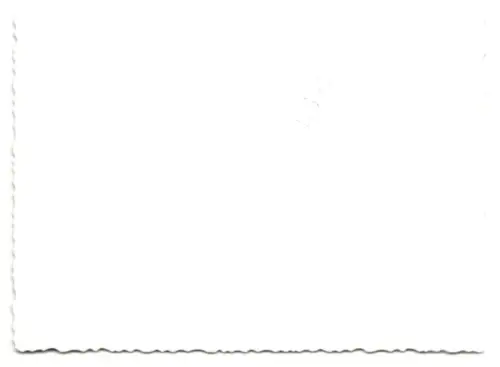 2 Fotografien Auto Opel Olypia