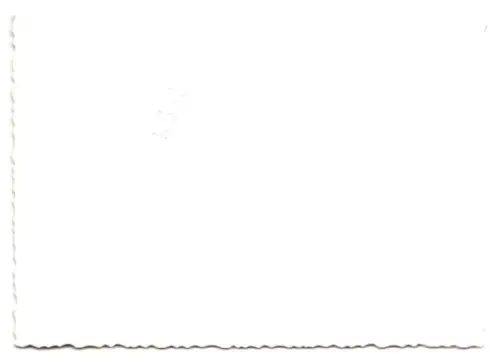 2 Fotografien Auto Opel Olypia