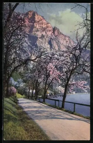 AK Gmunden /Salzkammergut, Uferpromenade beim Hois`n
